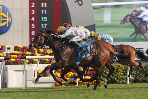 Golden Sixty on course for second leg of Triple Crown