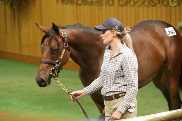 Bargain buy comes up trumps for Meyer