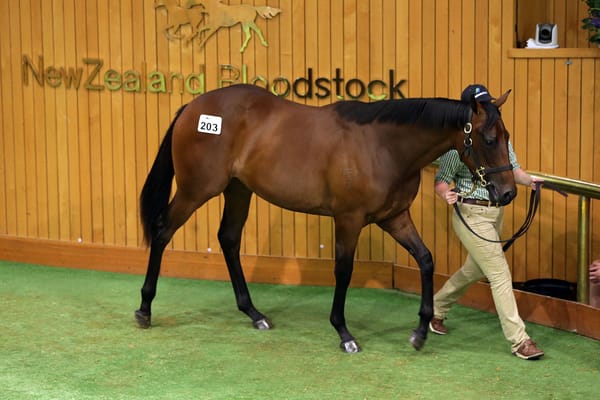 Waikato Stud celebrates big Australian double
