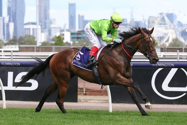 Sydney Cup chance for Tralee Rose
