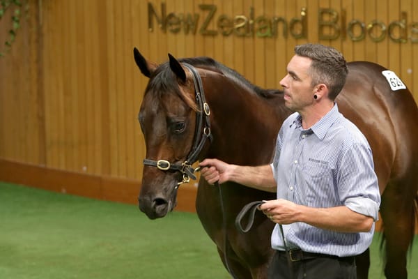 Highden Park hail Hong Kong Derby success