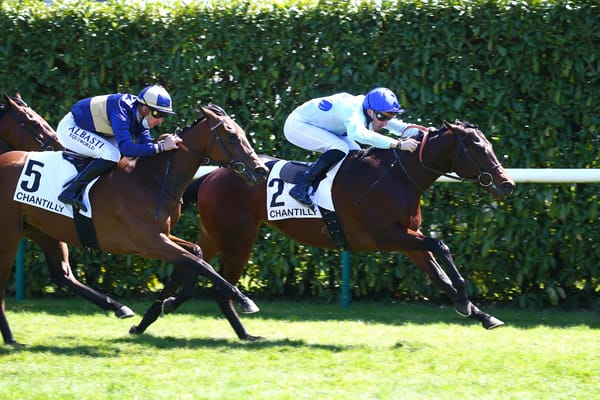 Almanzor opens winning account with first runner