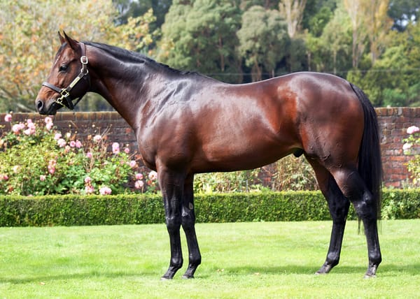 Per Incanto service headlines Hall of Fame auction items