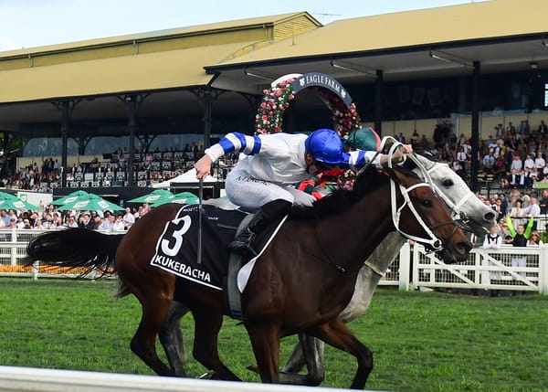 Quality Bloodlines in 2021 Ready to Run Sale Catalogue