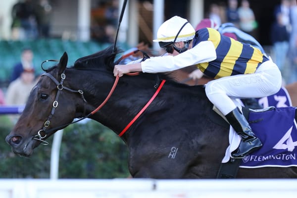 Romancer kept fresh for Sprint Final at Flemington