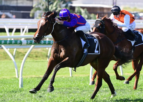 Ayrton Back In Business After Impressive Gunsynd Win