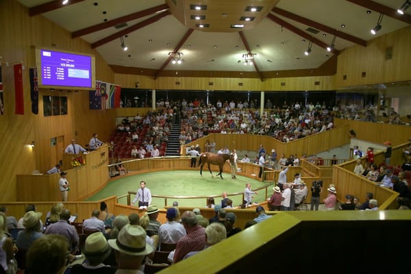 Entries Open for Karaka 2022