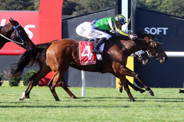 Moroney rewarded for holding Nerve