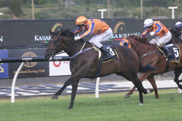 Group One winner retired