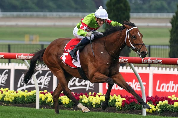 Sansom to take next step in P B Lawrence Stakes