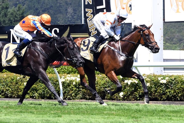 Gollan to unveil star Kiwi
