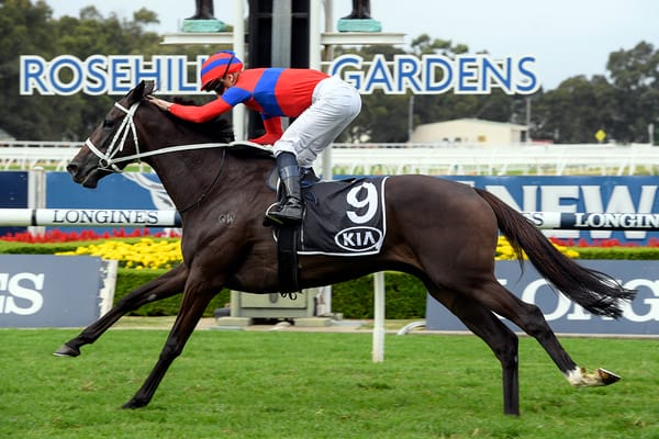 Jockeys wait on Elleegant vote