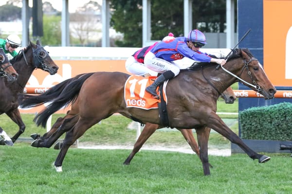 Ayrton in doubt for Sydney spring
