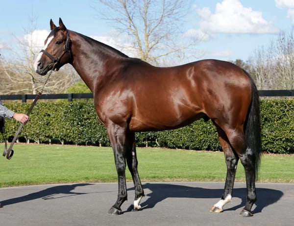Another stakes win for Belardo filly