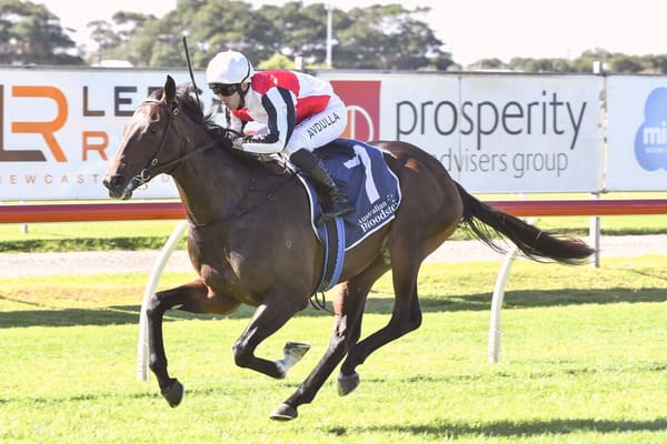 Rosehill return ideal for Cotehele