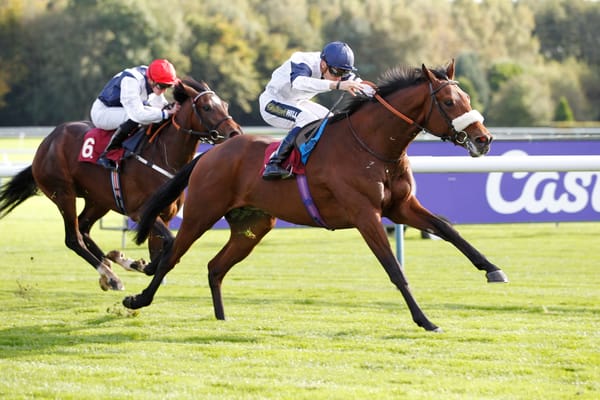 Partnership celebrates with well-named colt