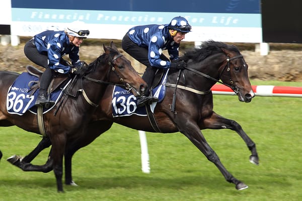 New Zealand Bloodstock unveil bumper Ready To Run Sale catalogue