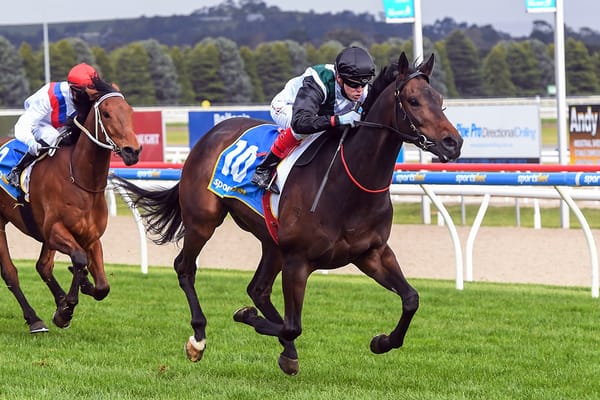 Mr Brightside steps up to Group One level