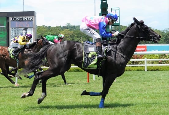 Tiger ready for 1800m Leap