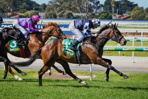 Young Werther out of Melbourne Cup