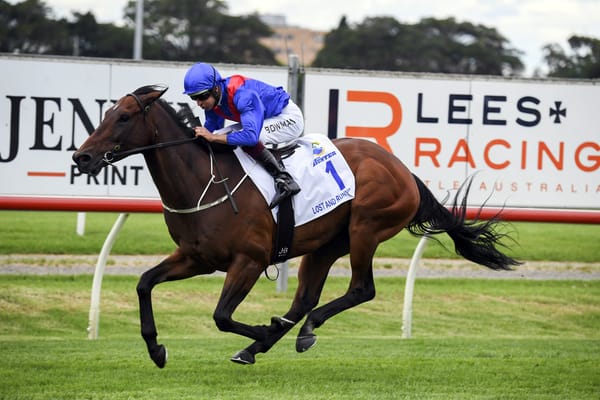 O'Shea gearing up for a fruitful autumn