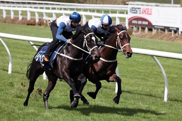 Sacred Falls colt headed to Baker’s Sydney stable
