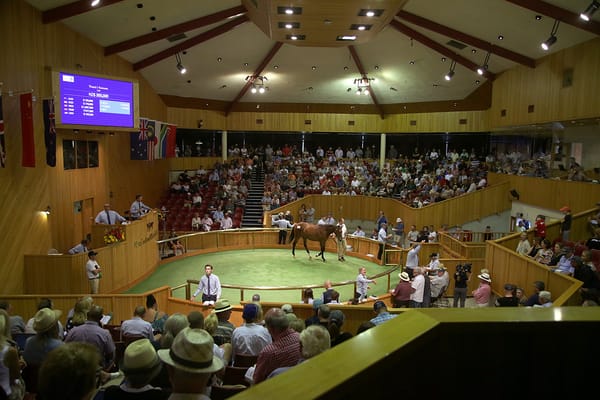 New Zealand Sales revert to traditional date
