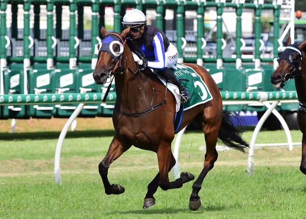 Oaks options for unbeaten Goddess