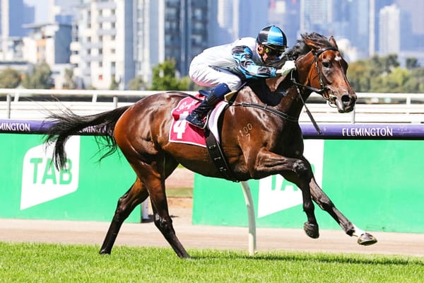 Flying Mascot to try blinkers