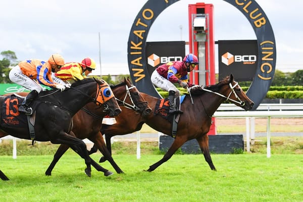 Former Kiwi adds intrigue to Oaks