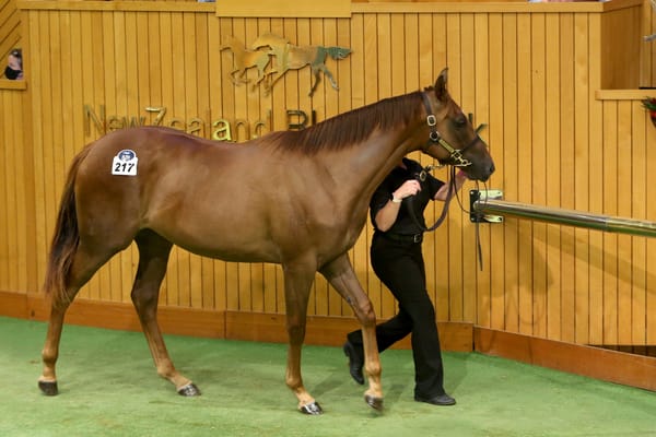Forsman invests in his future at Karaka