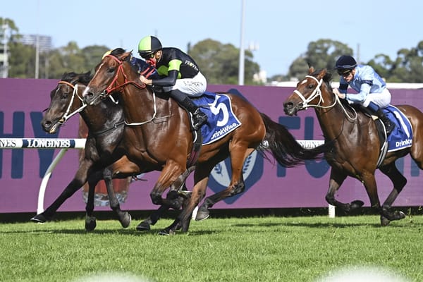 Weight right for Stockman in Sydney Cup