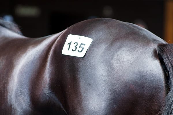 2022 National Online Yearling Sale Live