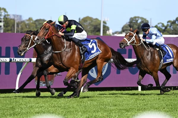Pride hopeful of wet spring for Stockman