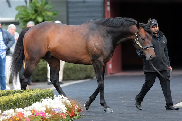 'Exciting' Derby prospect glides in trial