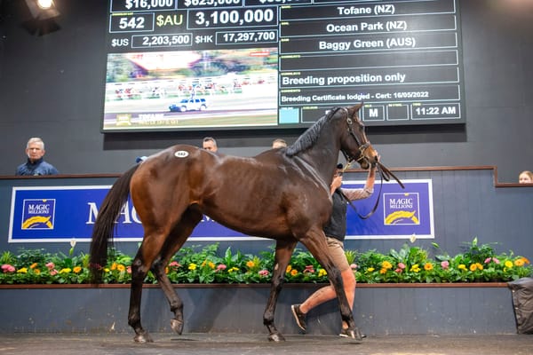 Tofane sells for A$3.1 million