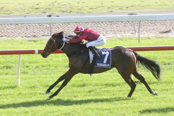 Sponsors out to make strong start on home soil