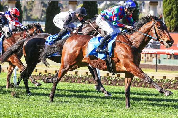 Hat-trick won't Shock Rae