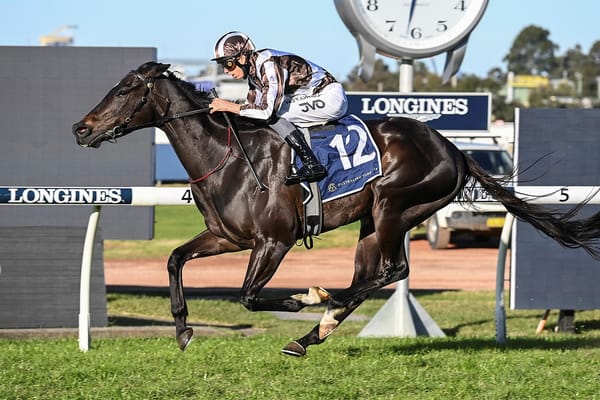 Cross Talk out to stake Doncaster claims