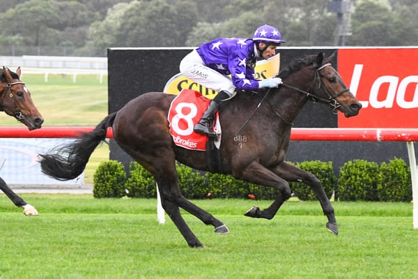 Moroney hopes for two Guineas starters