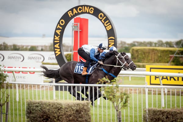 Breeze Up Footage Now Available to View Online