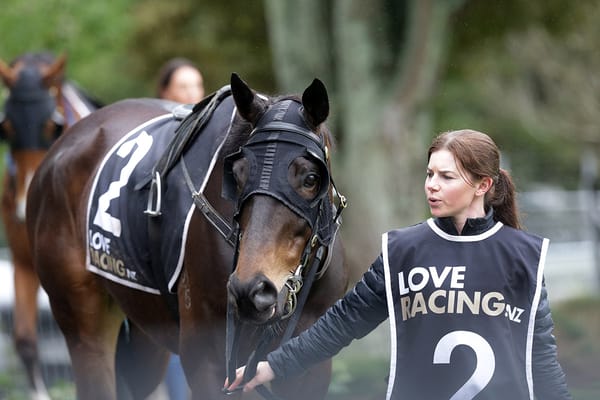 Coruba Jak gets hard fought win at Tauranga
