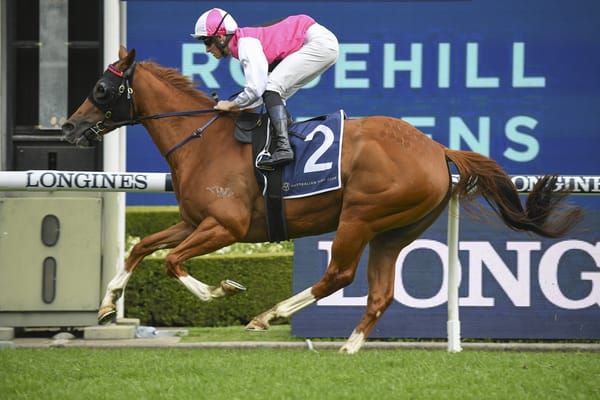 Expat to bounce back in the wet