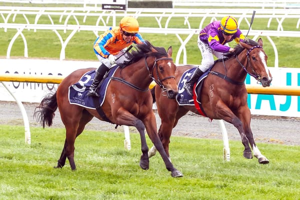 Rhetorical set to make amends at The Valley