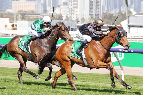 Group One winner retired