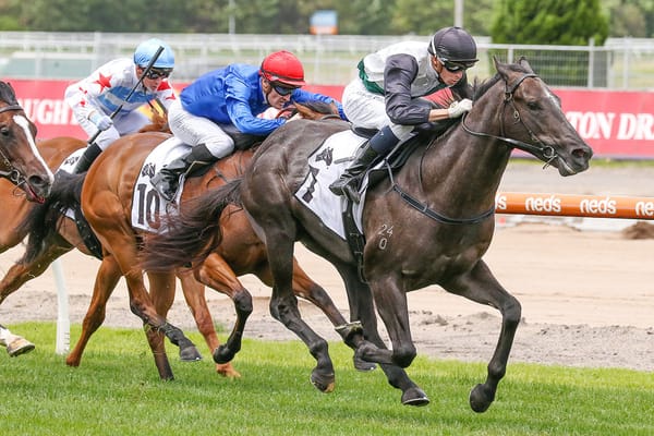 Brose pushes on to Guineas