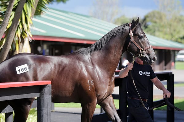 Forsman secures Day One Sale topper