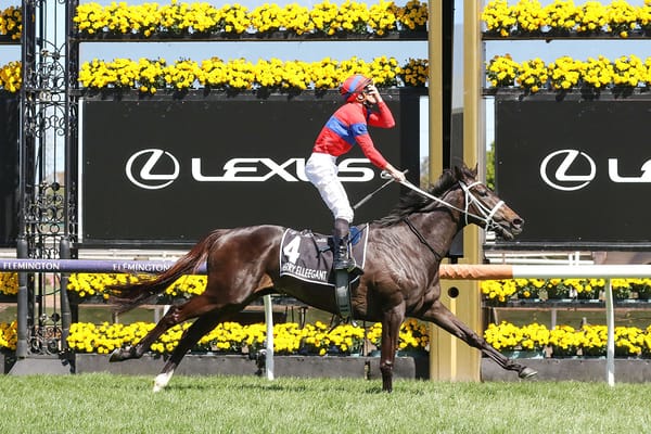 Share in champion mare Verry Elleegant for sale on Gavelhouse Plus