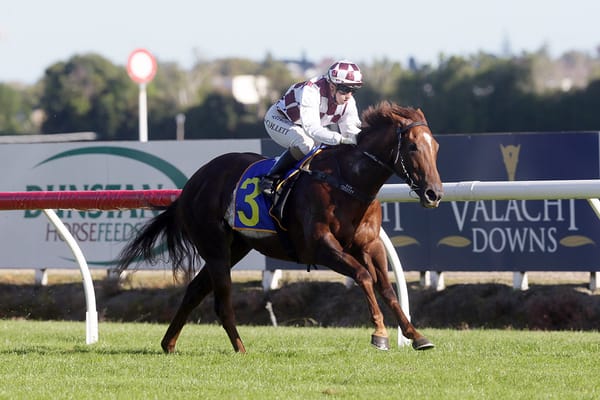 Trainer has elite hopes for stable duo