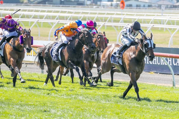Stakes quality and quantity for Latta